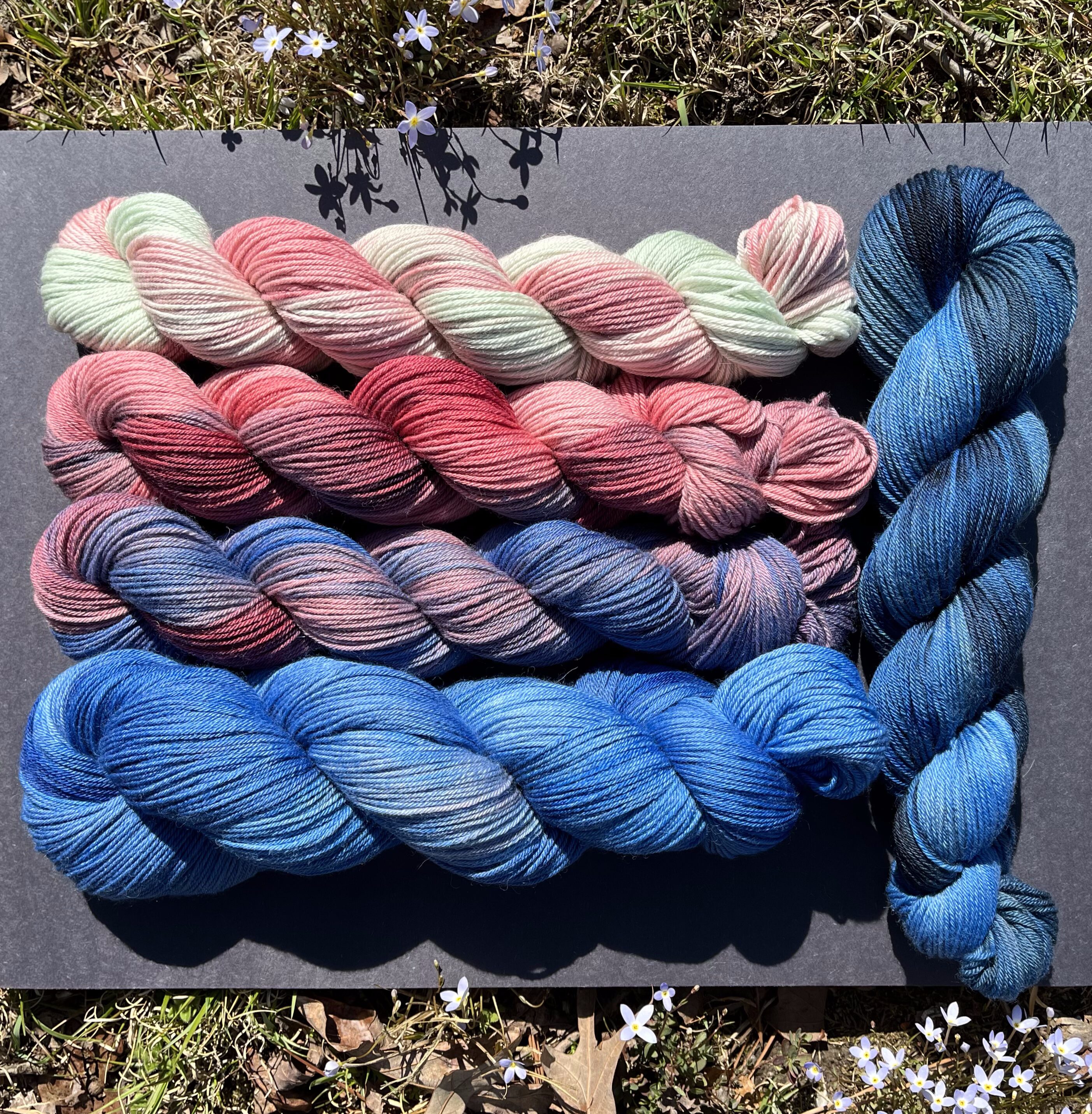 Ripening Blueberry Merino-Alpaca-Silk Fade Set